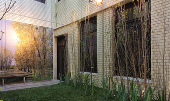 Terraza Verde en Realidad Virtual por Matilde Oyarzabal (Espacio Nº 18, Casa FOA/30 Casas)