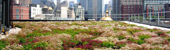 ¿Qué beneficios aportan los Green Roof?