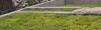 Descuentos en el ABL para edificios con terrazas verdes