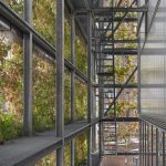 Polideportivo y ordenación interior de manzana en el Turó de la Peira / Arquitectura Anna Noguera