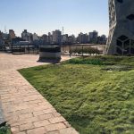 Terrazas verdes: Soluciones sencillas que convierten techos en jardines urbanos