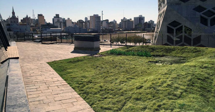 Terrazas verdes: Soluciones sencillas que convierten techos en jardines urbanos