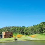 Hangar Baltt / PJV Arquitetura