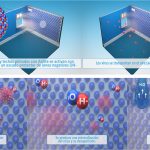 Nuevos test científicos avalan la eficacia de una ecopintura contra el coronavirus humano