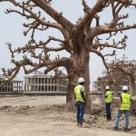 Parque tecnológico de Senegal / Idom