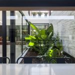 Casa M&M / Estudio PKa