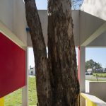 Vivienda en Pilar (El poema del árbol) / Arq. Juan Citroni