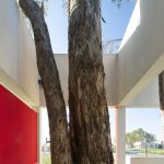 Vivienda en Pilar (El poema del árbol) / Arq. Juan Citroni