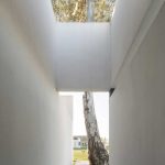 Vivienda en Pilar (El poema del árbol) / Arq. Juan Citroni