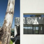 Vivienda en Pilar (El poema del árbol) / Arq. Juan Citroni