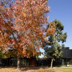 Dos Casas Metálicas / Mauricio Morra Arquitectos