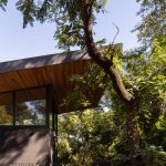 Casa La Arbolada / Arquitecta Indiana Sarubi