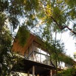 Casa La Arbolada / Arquitecta Indiana Sarubi