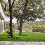 Vivienda Pinar / Haarq Estudio