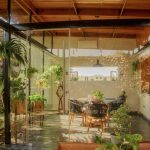 Refugio El Álamo / Radicestudio