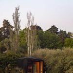 Atelier Araucarias / Lateral Arquitectos