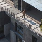 Vivienda plurifamiliar California 131 / Graus