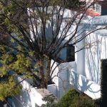 Casa E / Lucio Muniain et al.