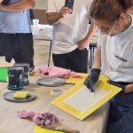 Anclaflex presenta una nueva capacitación gratuita sobre revestimientos de diseño y efectos decorativos