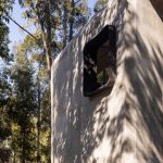Vivienda unifamiliar La Ballena / Brigati-Polak Arquitectos