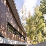 Vivienda unifamiliar La Ballena / Brigati-Polak Arquitectos