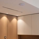 Vivienda unifamiliar La Ballena / Brigati-Polak Arquitectos