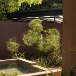 Casa [en] torno al árbol / otro estudio [oficina de arquitectos]