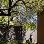 Casa [en] torno al árbol / otro estudio [oficina de arquitectos]