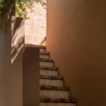 Casa [en] torno al árbol / otro estudio [oficina de arquitectos]