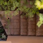 Casa [en] torno al árbol / otro estudio [oficina de arquitectos]