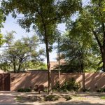 Casa [en] torno al árbol / otro estudio [oficina de arquitectos]