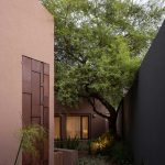 Casa [en] torno al árbol / otro estudio [oficina de arquitectos]