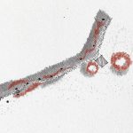 Refugio del Rio / Metriq Estudio