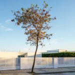 C4 Minimal House / COBO-DONOSO Arquitectos
