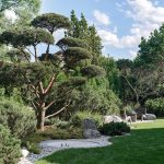 Villa Kyoto / Ekaterina Yakovenko