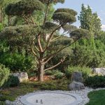 Villa Kyoto / Ekaterina Yakovenko