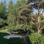 Villa Kyoto / Ekaterina Yakovenko