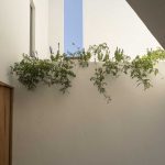 Casa Auseva / Graus