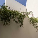 Casa Auseva / Graus