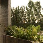 Casa Lago / Estudio Panbatt