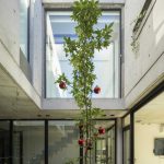 Casa Mecha / Grupo CRBN