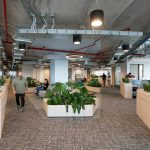 Oficinas Albemarle / Contract Workplaces