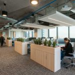Oficinas Albemarle / Contract Workplaces