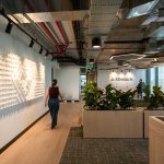 Oficinas Albemarle / Contract Workplaces