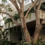 Casa Amankay / Di Frenna Arquitectos