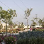 Parque lineal de La Valenciana / 501 Durán Arquitectos