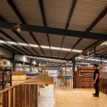 Maderas Selectas / AMA (Andres Milos Arquitectos) + Arq. Boris Bacaluzzo