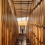 Maderas Selectas / AMA (Andres Milos Arquitectos) + Arq. Boris Bacaluzzo