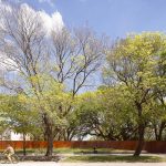 Morgue Judicial para la ciudad de Vera / Oficina de Arquitectura del Poder Judicial de Santa Fe